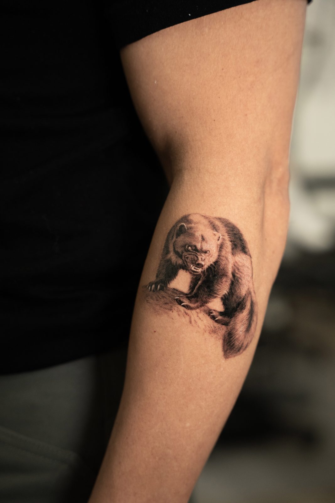 Bear forearm piece healing well with tattoo aftercare Scarborough clients follow